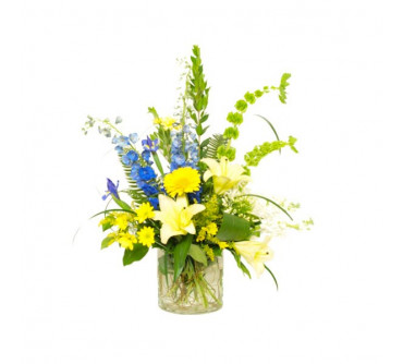 Arrangement abondance de lumière